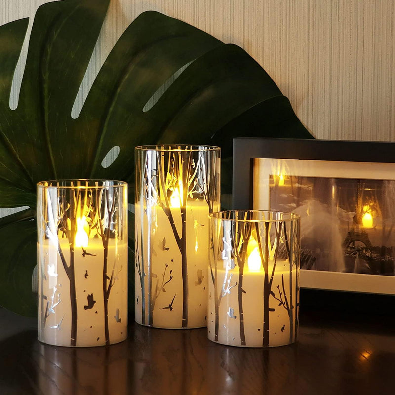 Birch Design Glass Battery Operated LED Candles with Timer, Flameless Pillar Candles Spring & Summer Decor- Include 6 Batteries - Puck's