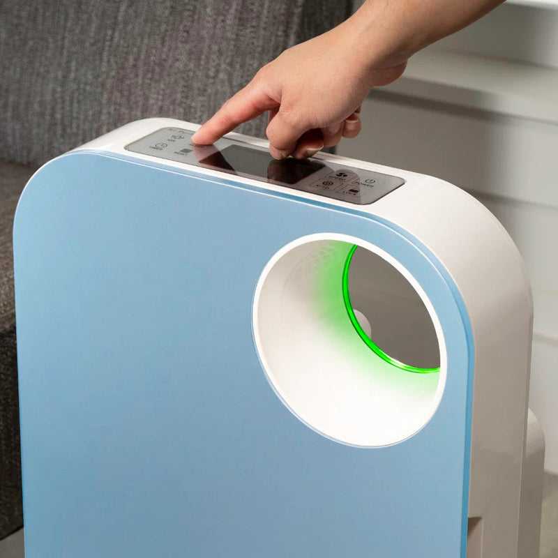 Oval Air Purifier - Puck's