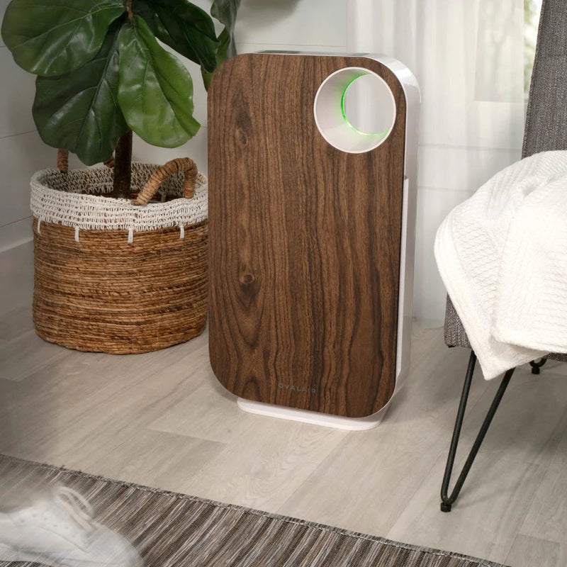 Oval Air Purifier - Puck's