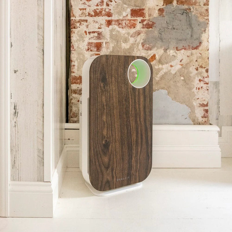 Oval Air Purifier - Puck's