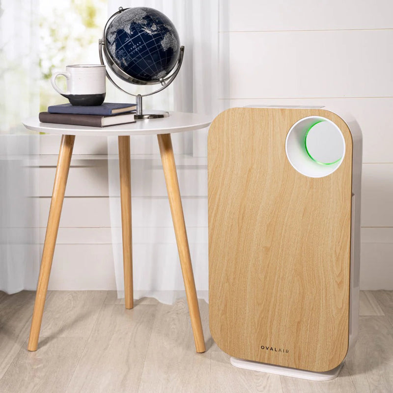 Oval Air Purifier - Puck's