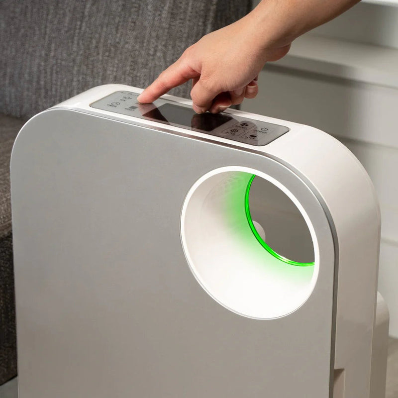 Oval Air Purifier - Puck's