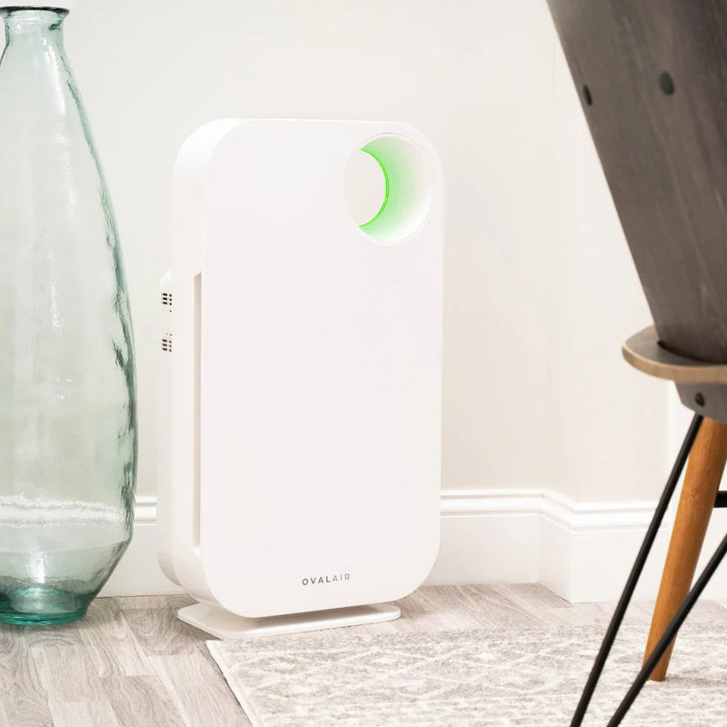 Oval Air Purifier - Puck's