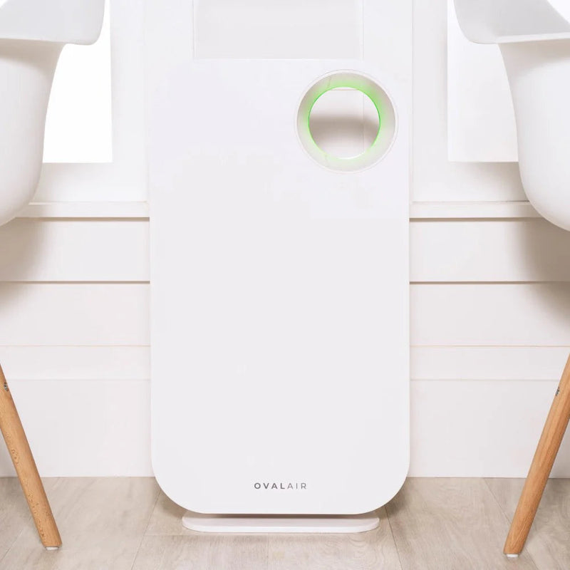 Oval Air Purifier - Puck's