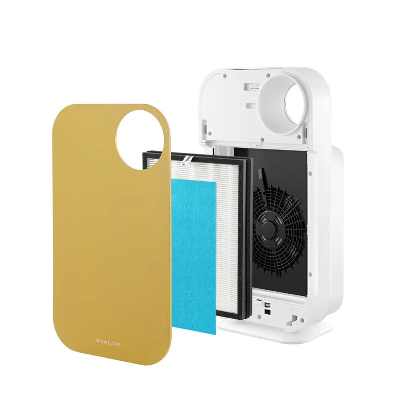 Oval Air Purifier - Puck's