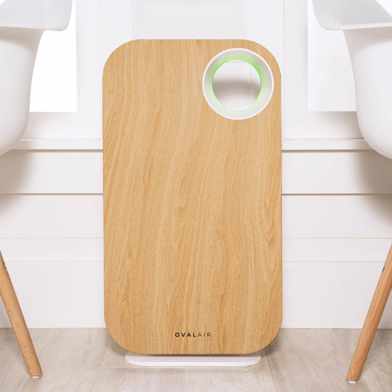 Oval Air Purifier - Puck's