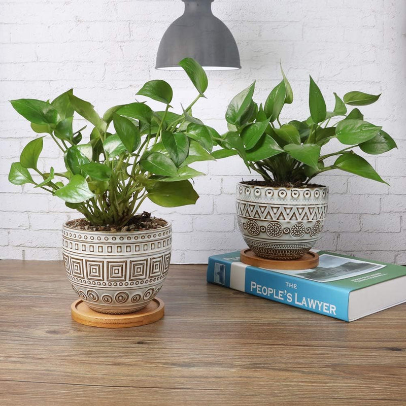 5.5In Geometry Ceramic Planter Large round Succulent Planter Flower Pot Indoor and Outdoor Brown Set of 2 - Puck's