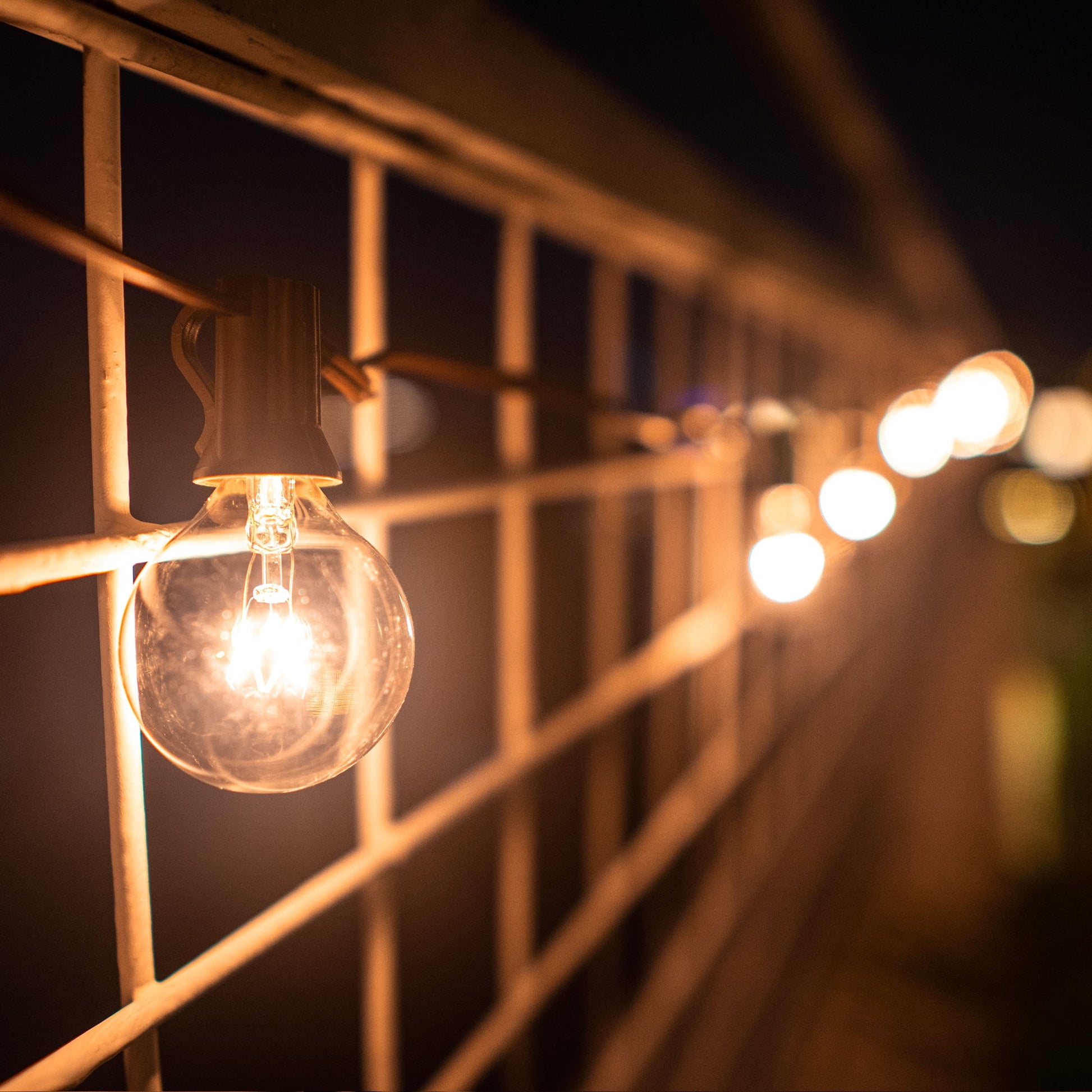 (2 Pack)  20-Count Clear Glass Globe G40 Bulbs Outdoor String Lights - Puck's