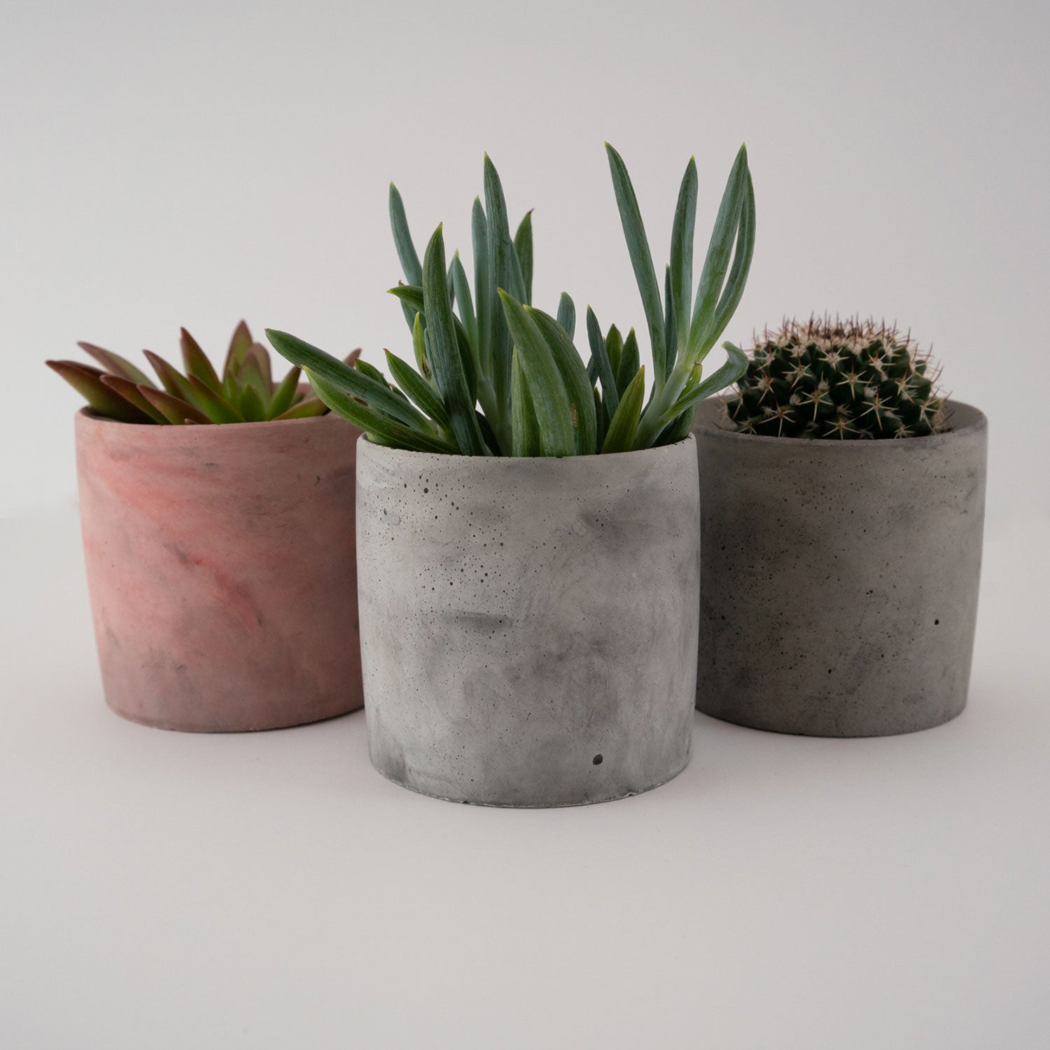 Medium Planter - Puck's