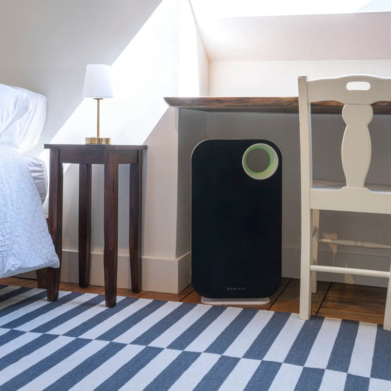 Oval Air Purifier - Puck's
