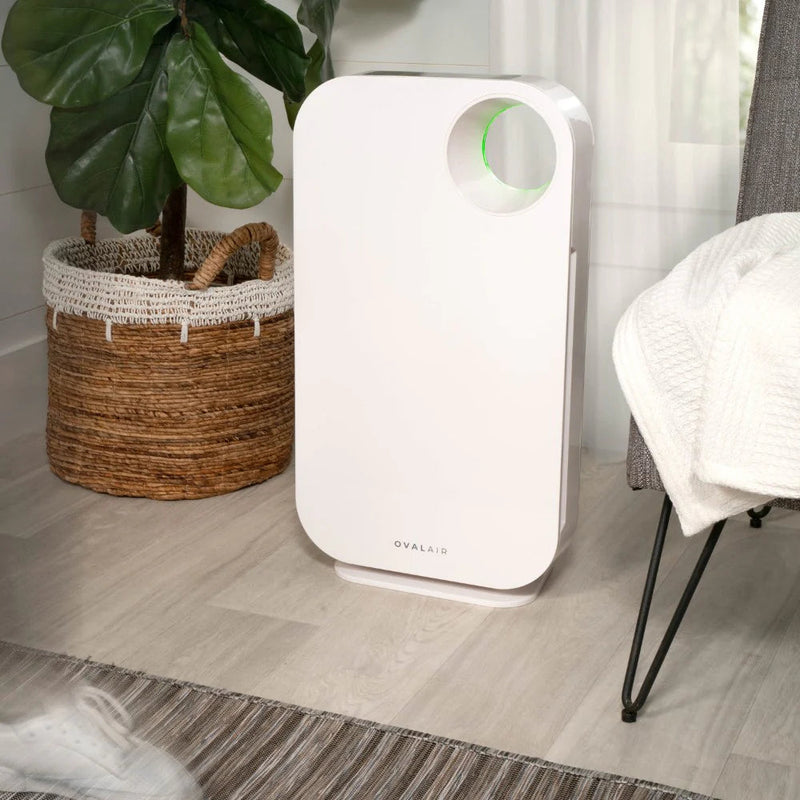 Oval Air Purifier - Puck's