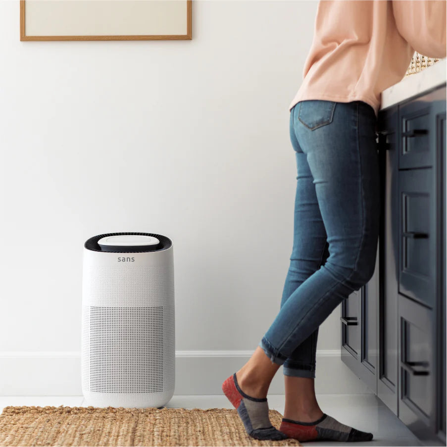 Air Purifier - Puck's