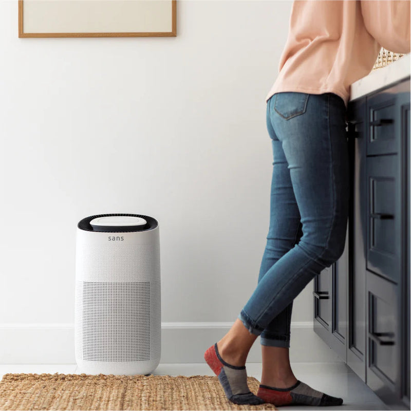 Air Purifier - Puck's