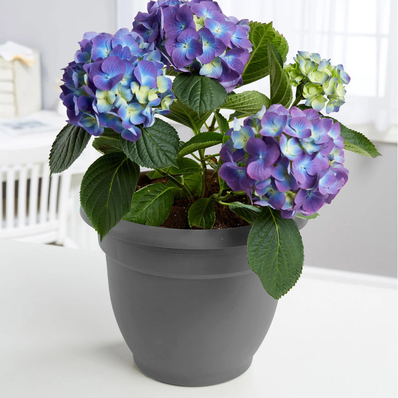 Ariana Pot Planter: 16" - Charcoal - Durable Resin Pot, for Indoor and Outdoor Use, Gardening, Self Watering Disk Included, 6 Gallon Capacity - Puck's