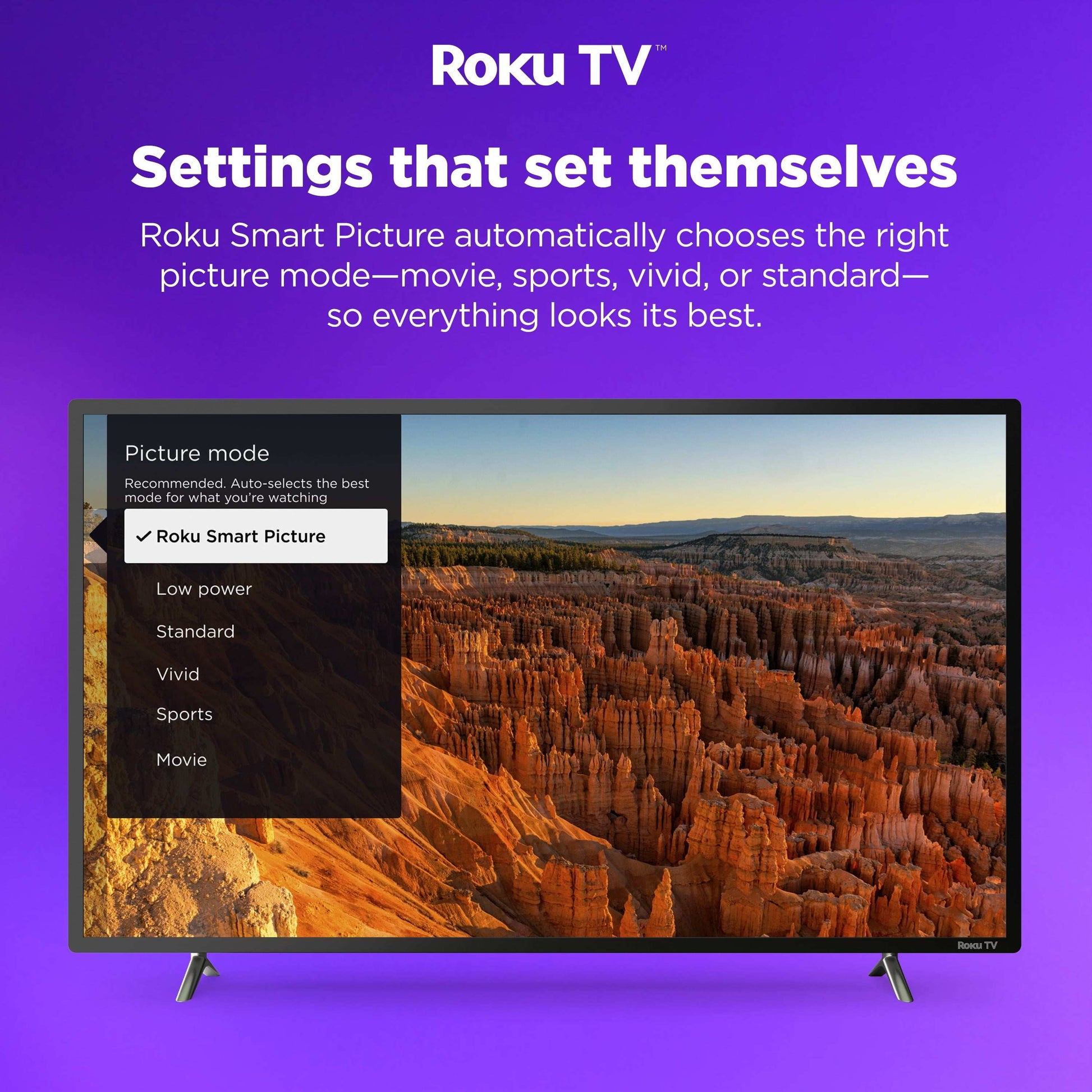 50" Class 4K UHD LED LCD Roku Smart TV HDR R6 Series 50R6E3 - Puck's