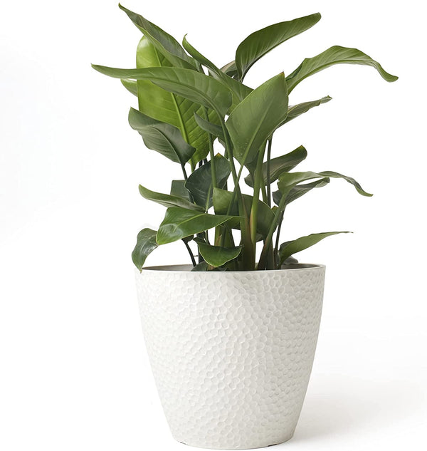 Outdoor Indoor Tree Planters,14 Inch Large Planter Flower Pots,Modern Decorative White Planter Pot for House Plants,Honeycomb - Puck's