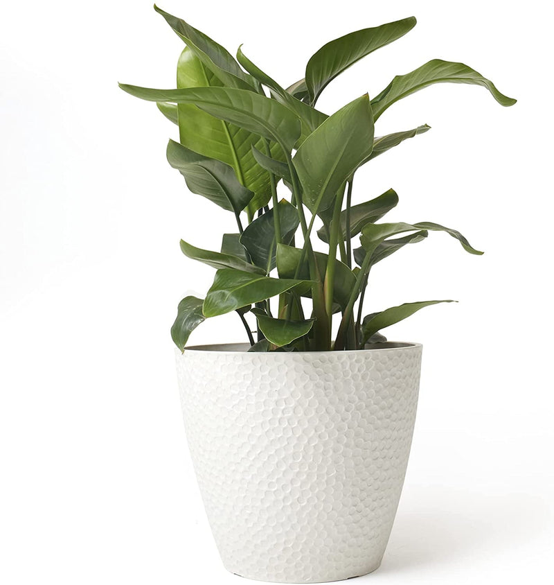 Outdoor Indoor Tree Planters,14 Inch Large Planter Flower Pots,Modern Decorative White Planter Pot for House Plants,Honeycomb - Puck's