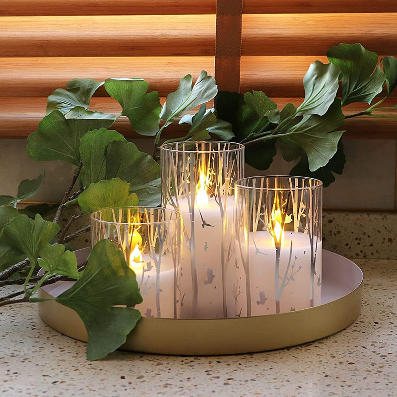 Birch Design Glass Battery Operated LED Candles with Timer, Flameless Pillar Candles Spring & Summer Decor- Include 6 Batteries - Puck's