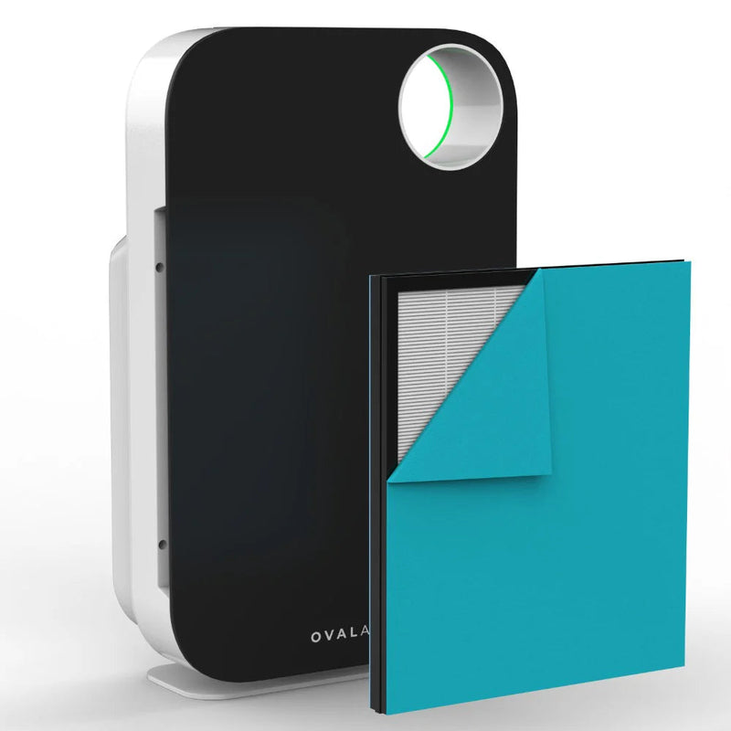 Oval Air Purifier - Puck's