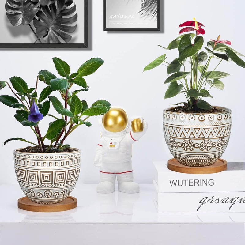 5.5In Geometry Ceramic Planter Large round Succulent Planter Flower Pot Indoor and Outdoor Brown Set of 2 - Puck's