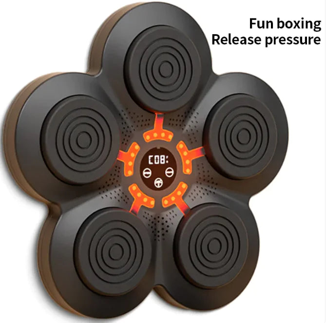 Boxing Training Set - Puck's