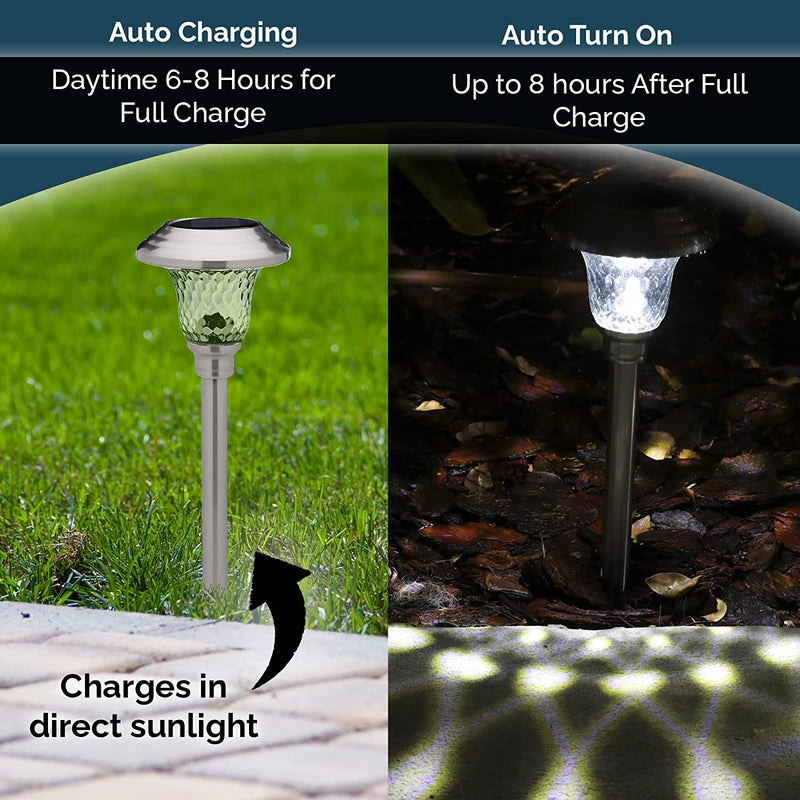 LED Auto Solar Powered Outdoor Path Lights with Watertight Lens for Garden Yard & Pathway, Bright Waterproof Landscape & Patio Lighting, Dusk to Dawn (Glass - White) - Puck's