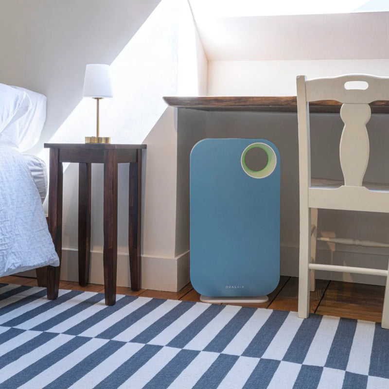 Oval Air Purifier - Puck's