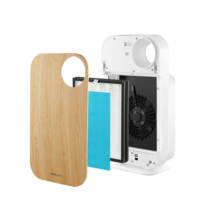 Oval Air Purifier - Puck's