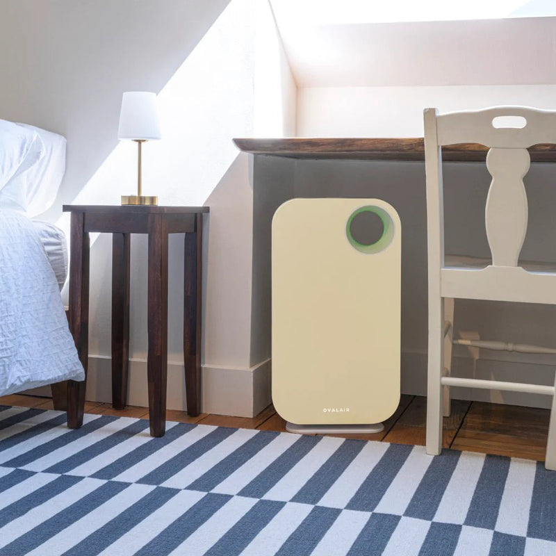 Oval Air Purifier - Puck's