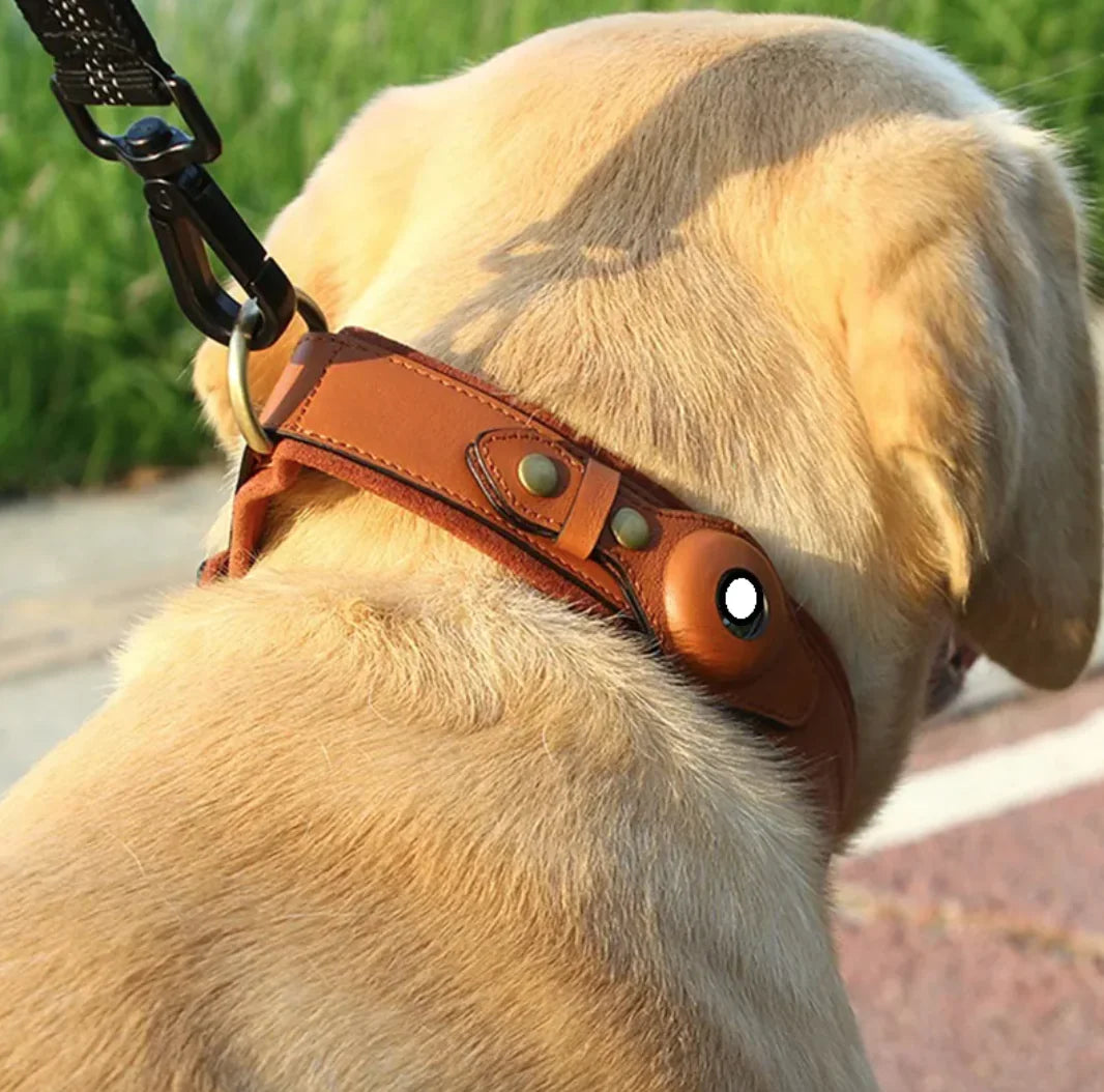 Leather Dog Collar with Location Tracker - Puck's