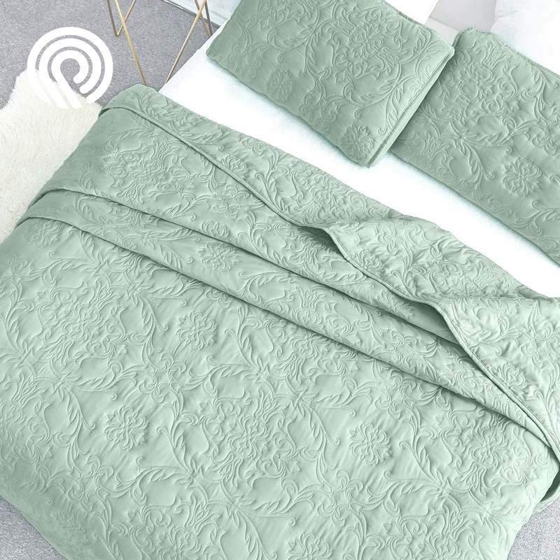 Sophia and William 2 Pieces Quilt Set Twin Size with 1 Quilt and 1 Pillow Sham, Reversible Microfiber Bedding Bedspread Coverlet Set, Cozy, Lightweight and Hypoallergenic, Light Blue