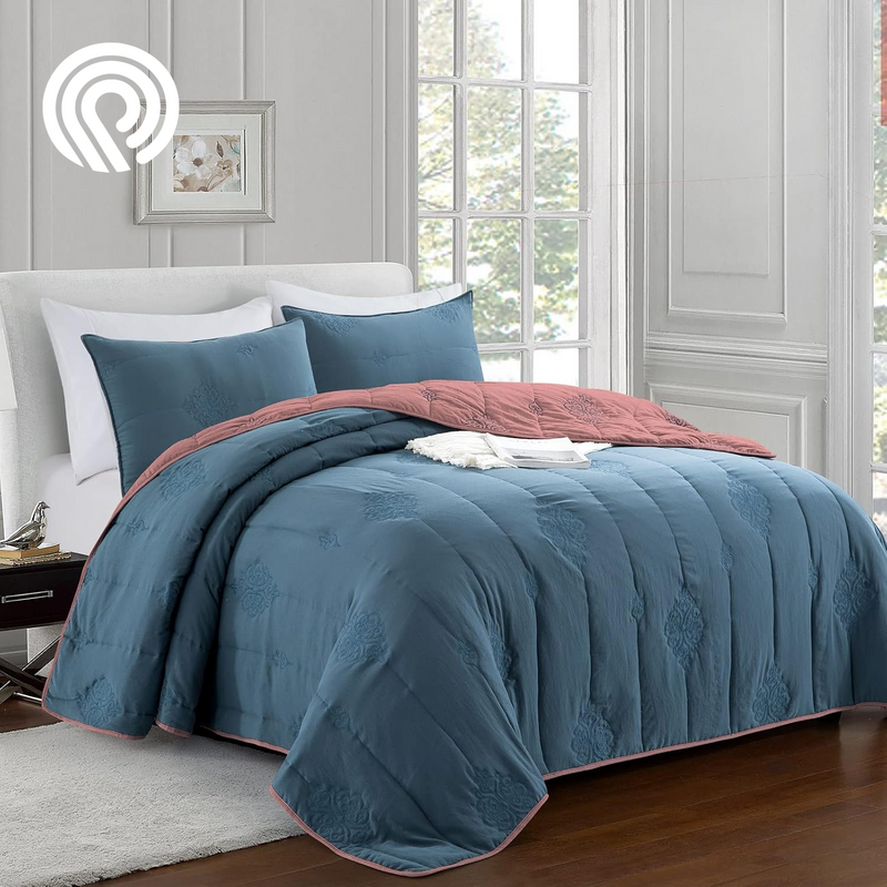 Sophia and William 2 Pieces Quilt Set Twin Size with 1 Quilt and 1 Pillow Sham, Reversible Microfiber Bedding Bedspread Coverlet Set, Cozy, Lightweight and Hypoallergenic, Light Blue