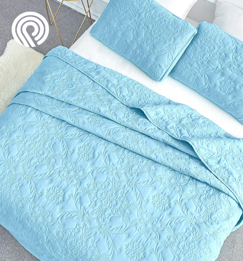 Sophia and William 2 Pieces Quilt Set Twin Size with 1 Quilt and 1 Pillow Sham, Reversible Microfiber Bedding Bedspread Coverlet Set, Cozy, Lightweight and Hypoallergenic, Light Blue