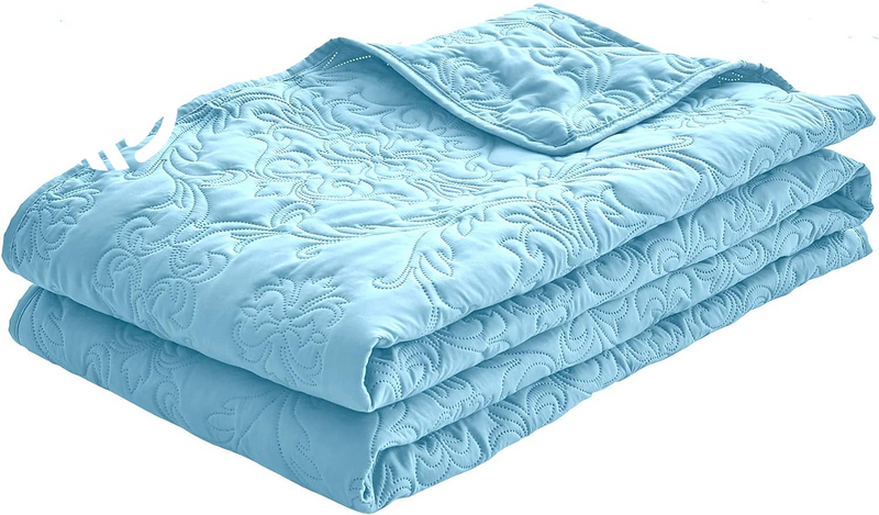 Sophia and William 2 Pieces Quilt Set Twin Size with 1 Quilt and 1 Pillow Sham, Reversible Microfiber Bedding Bedspread Coverlet Set, Cozy, Lightweight and Hypoallergenic, Light Blue